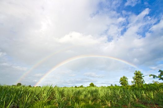 summer daylight landscape with meadow, white clouds in the sky and a double rainbow