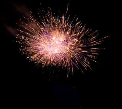 Multi-Color Fireworks on Dark Sky