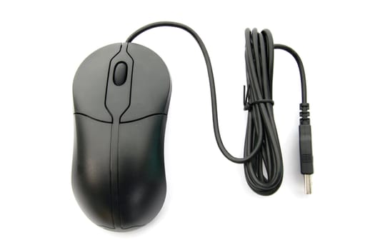 Black Mouse islolated on White background