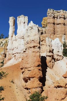 famous Hoodoo rock spires of Bryce Canyon, Utah, USA 