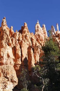 Hoodoo rock spires of Bryce Canyon, Utah, USA 