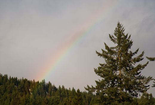 Rainbow near Hood Canal, WA