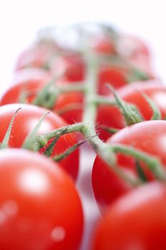 Fresh ripe tomatoes on the vine isolated on white background