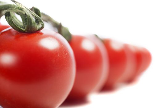 Fresh ripe tomatoes on the vine isolated on white background