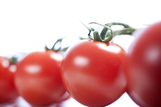 Fresh ripe tomatoes on the vine isolated on white background