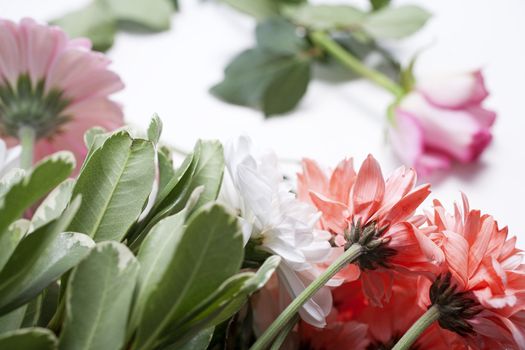 Flower cuttings being prepared to be arranged to make a bouquet.