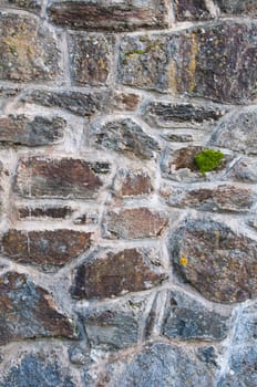 gorgeous unshaped background of a stone wall