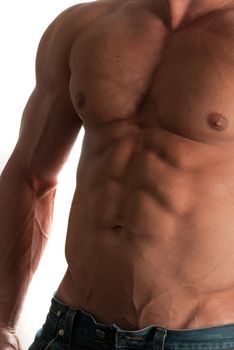 Muscular male torso of bodybuilder on white background