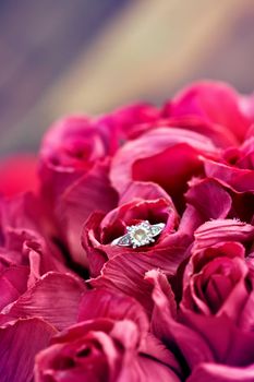 A close up of wedding band , engagement ring