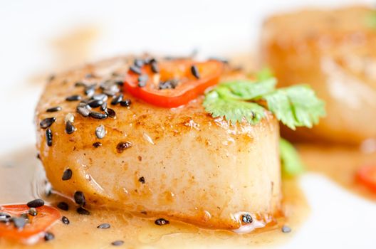 Close up Scallop seafood appetizer with spices