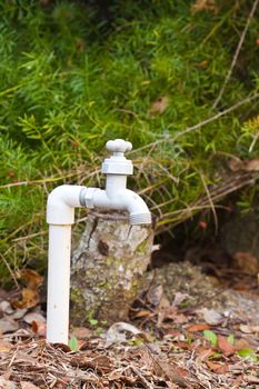 Sink outdoors in the backyard on the ground