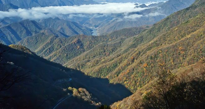 This photo was taken in China Shennongjia, in late autumn