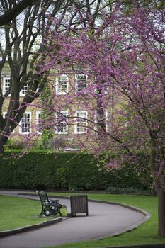 Park bench with Autumn flowers