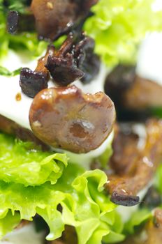 Chanterelles mushrooms with salad leaves and sour cream close-up