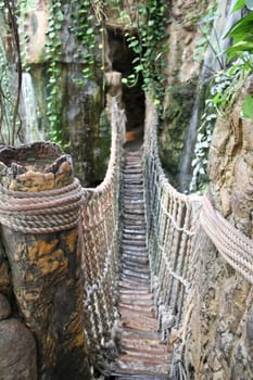 View of a rope bridge in a rain forest environment.