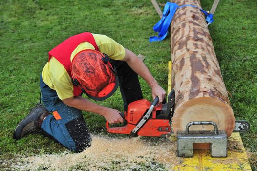 Close up of a logger using a chainsaw in a logging competition. Sawdust flying.