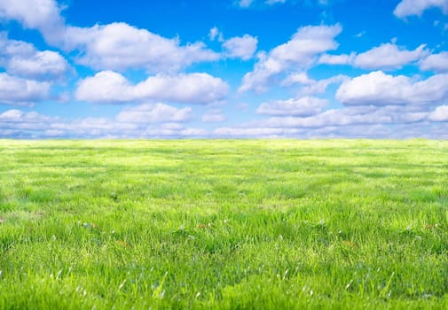 Grass and sky