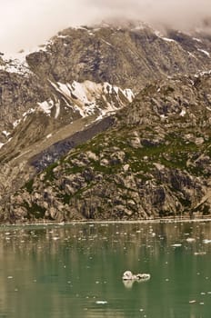 Alaskan Glacier with iceberg in water