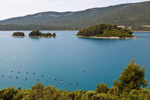 Oyster Farm in Adriatic Sea near Dubrovnik, Croatia