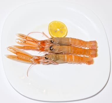 fresh shrimps with lemon on the plate