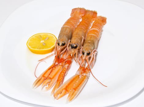 fresh shrimps with lemon on the plate
