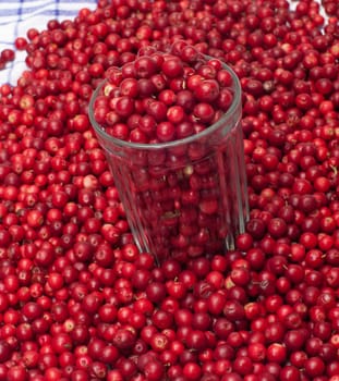 Glass filled with a cowberry close up.