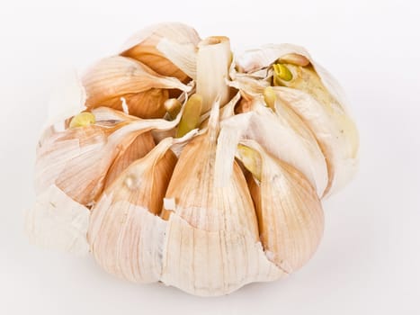 fresh nature garlic isolated on the white background