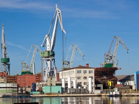 ship and cranes in shipyard