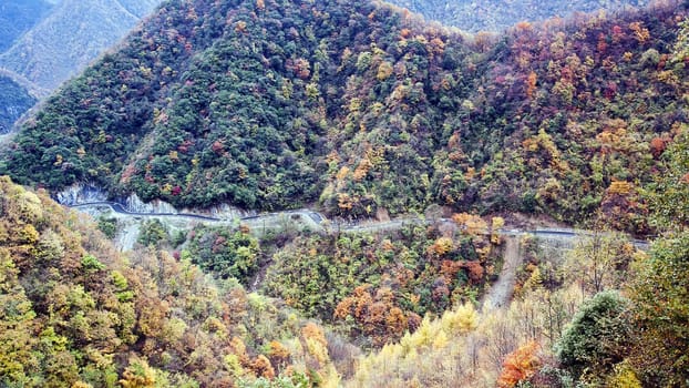 This photo was taken in China Shennongjia, in late autumn