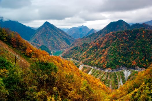 This photo was taken in China Shennongjia, in late autumn
