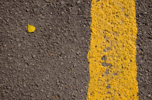 Asphalt closeup yellow line road markings and small birch leaf.