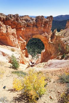 Natural Stone Bridge/Arch at Bryce Canyon 