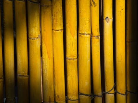 yellow bamboo fence on a sunny day