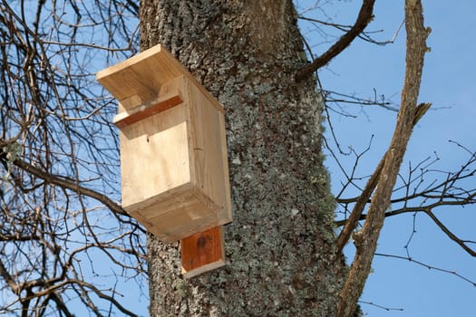 Bird House on a Tree in a sunny spring day
