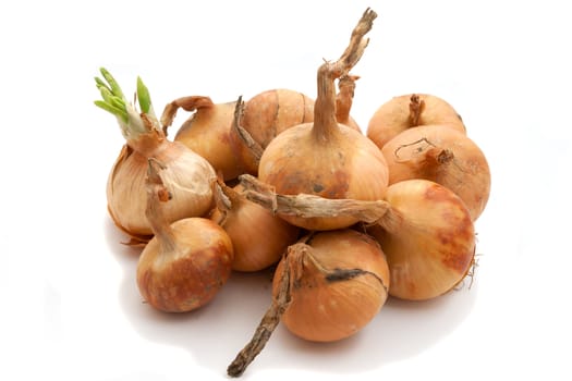 Fresh bulbs of onion on a white background