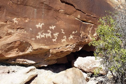 petroglyph Canyonlands national park 