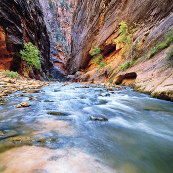 Shallow rapids of the Virgin River Narrows in Zion National Park - Utah 