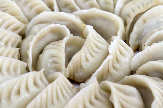 Potstickers Chinese Pork Dumplings Pan Fried Macro Closeup