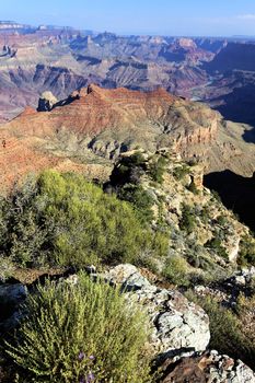 famous Grand Canyon, Arizona, USA
