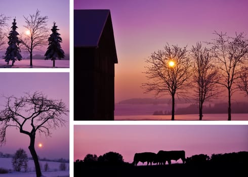 Winter landscape collage with four different fotos. 