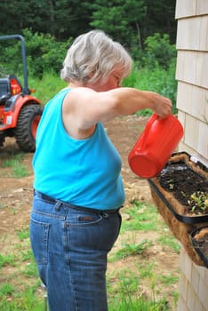 Mature female watering plants at home.