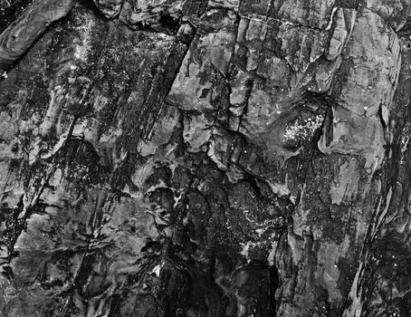 Wet stone sea coast in the background, black and white effect