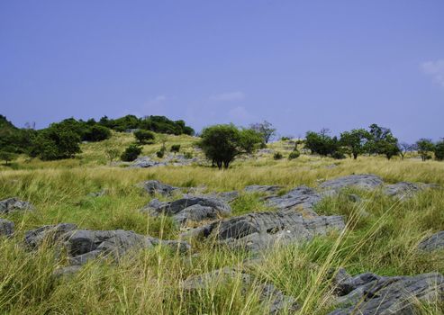 Green rural field at Si Chang island, Thailand