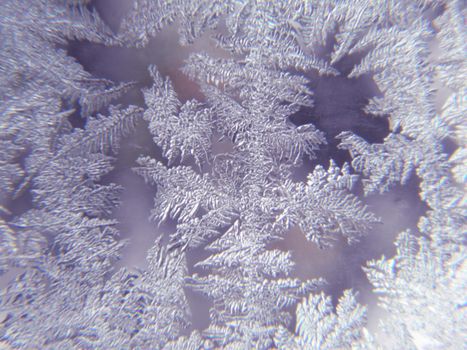 Close up of Ice Flowers