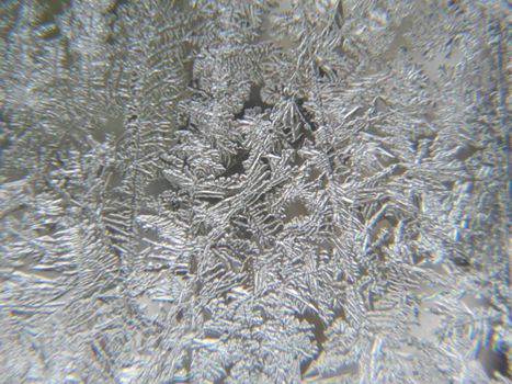 Close up of Ice Flowers