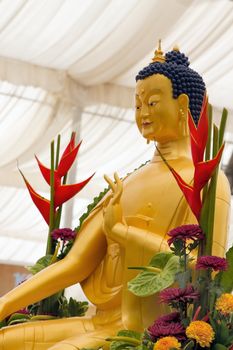 Golden Bronze Buddha Statue on Public Display