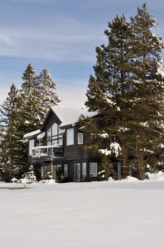 Cabin in the Snow