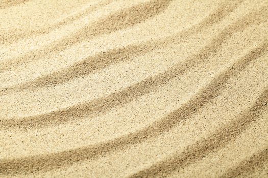 Sandy beach background. Sand texture. Focus on center