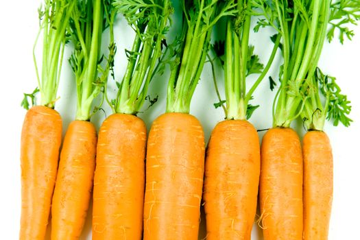 Fresh and ripe bunch of orange carrots isolated on white background