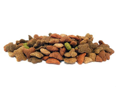 cat and dog food mix on isolated white background